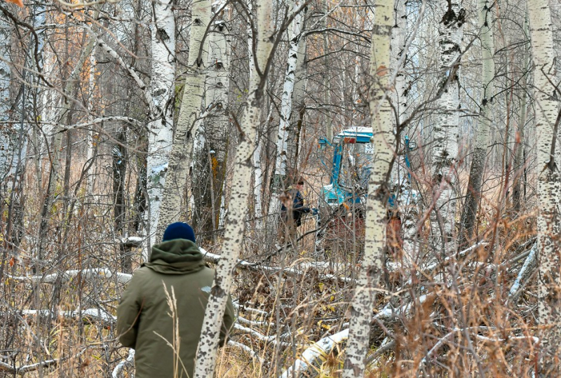 Лесопромышленники рассказали, когда упадут цены 