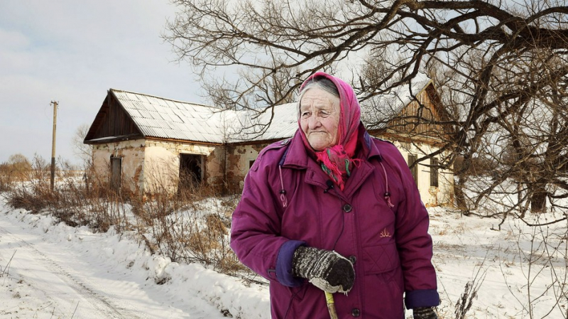 В Ленобласти введут лесные ваучеры