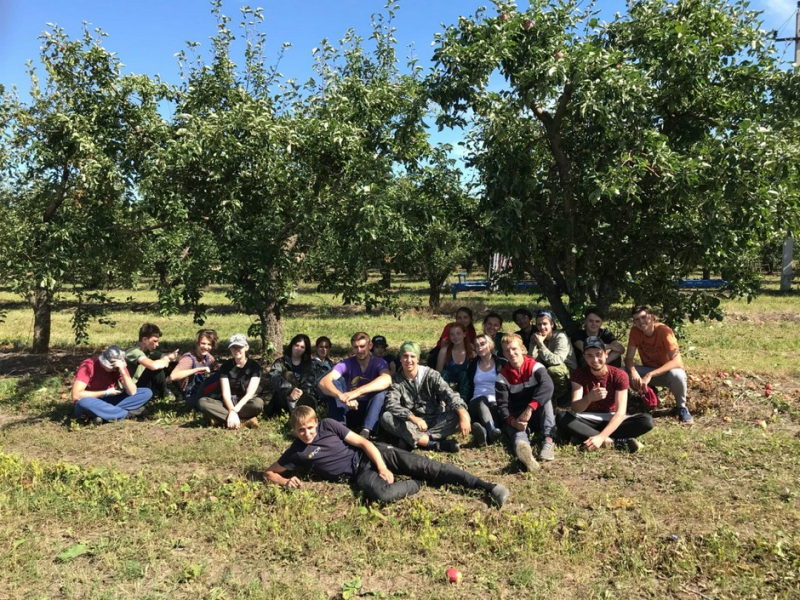 Власти привлекают молодёжь в сёла