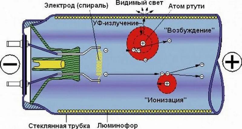 Замена люминесцентных ламп на светодиодные: 2 варианта