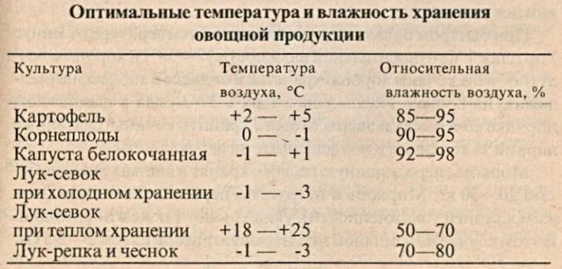 Какой должна быть температура в погребе для различных культур