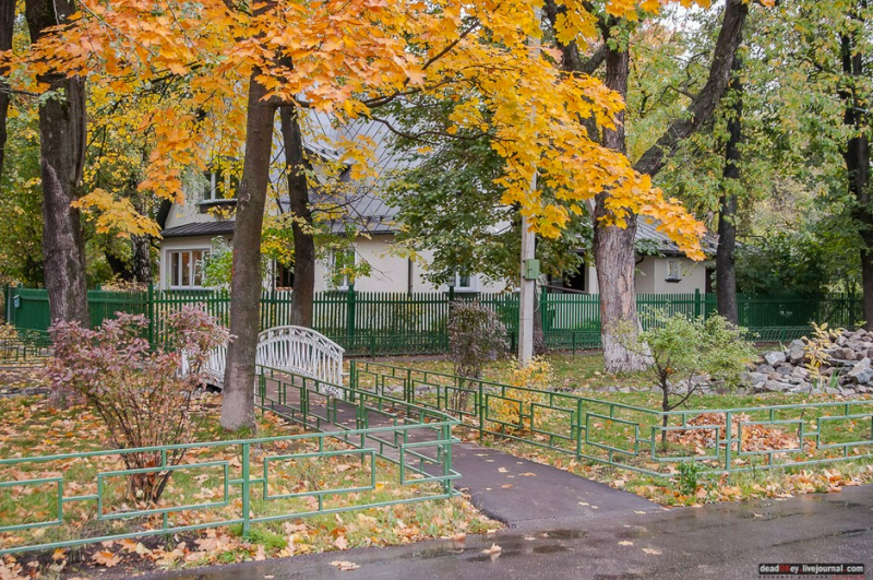 Сокол и другие поселки двадцатых. Золотые годы малоэтажного строительства в СССР