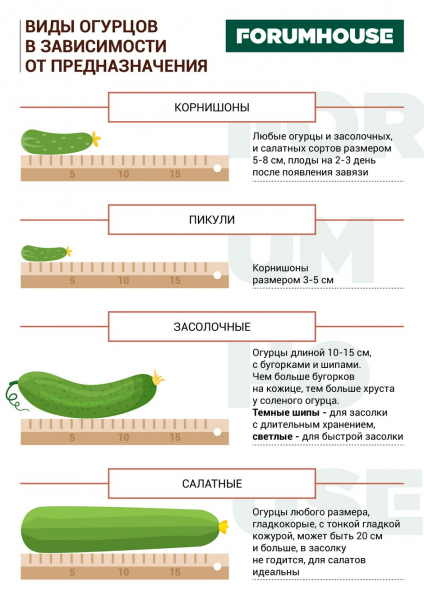 Рецепты заготовок: новые шедевры и старые подборки