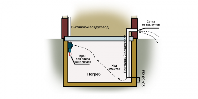 Вентиляция в погребе частного дома: как правильно сделать своими руками (фото и схемы) | ivd.ru